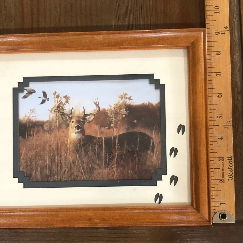 Deer Wall Art Print Picture in Wood Frame